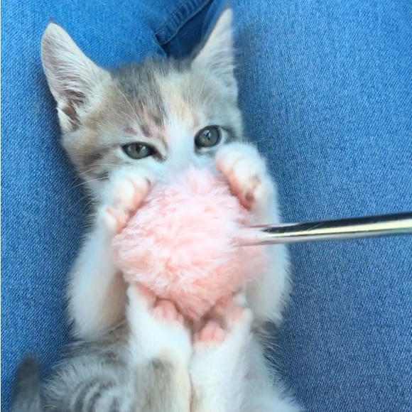 Meet your Posher, Maria - Picture 6 of 6